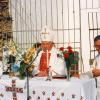 A cikói Ótemplom rom előtti téren Jónás János apátplébános szentmisét celebál az ideiglenes oltárnál a szálkai lelkész segédletével.